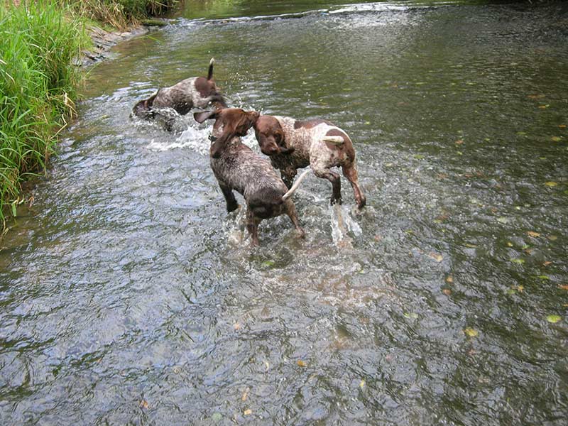 BWurfWasser