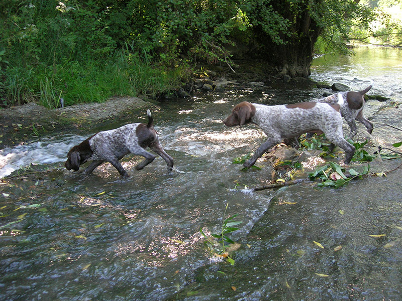BWurfWasser__