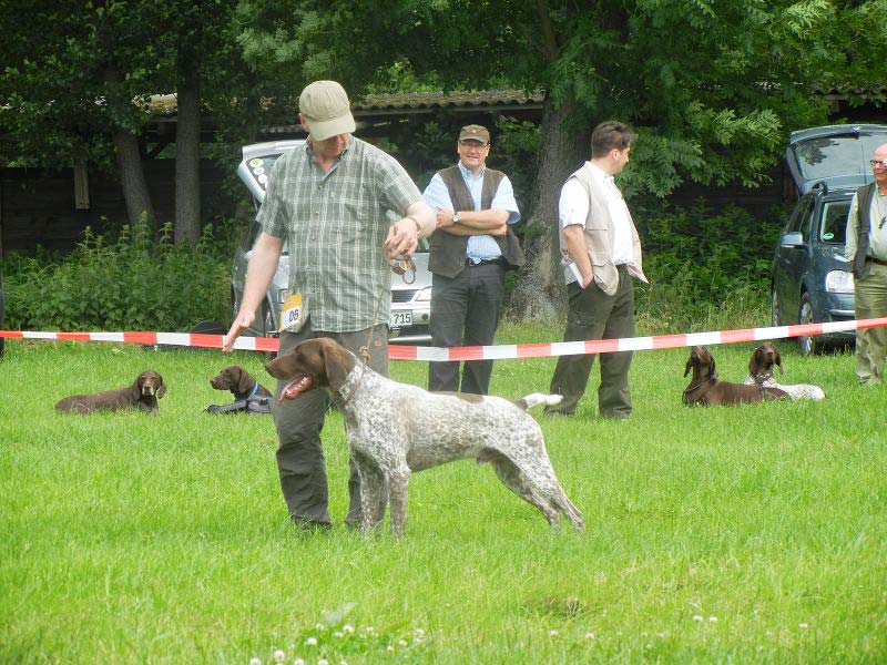Bentley-von-Kurhessen