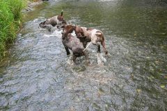 BWurfWasser