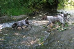 BWurfWasser__
