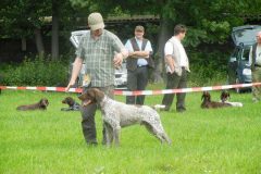 Bentley-von-Kurhessen