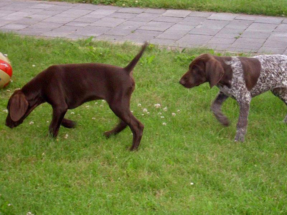 Cleo-und-Carlson