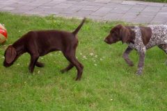 Cleo-und-Carlson