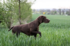 cleo_IMG_7167
