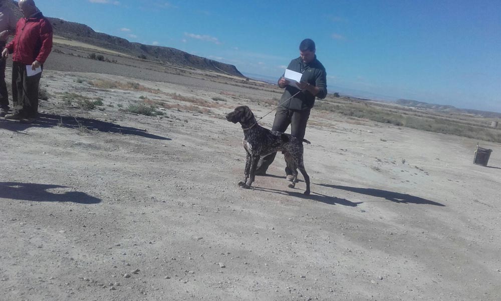 Duro2016