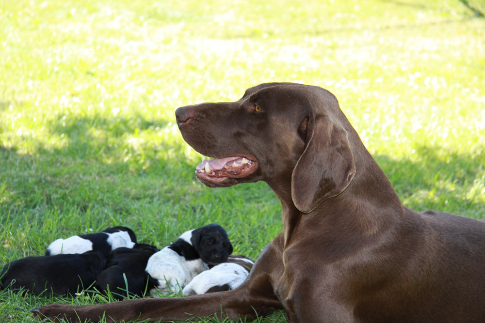 IMG_9565