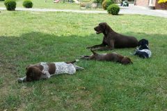 IMG-20150723-WA0009