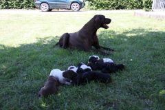 IMG_9546