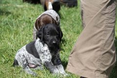 IMG_9644_01