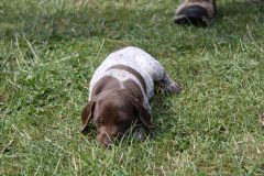 IMG_9683_01