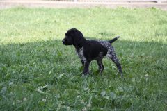 IMG_9701