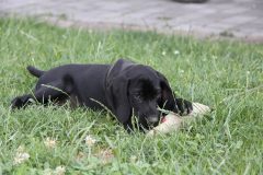 IMG_9717