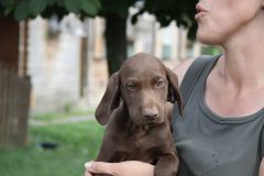 IMG_9727