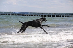 Ostsee2016-