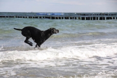 Ostsee2016