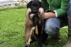 Priska
